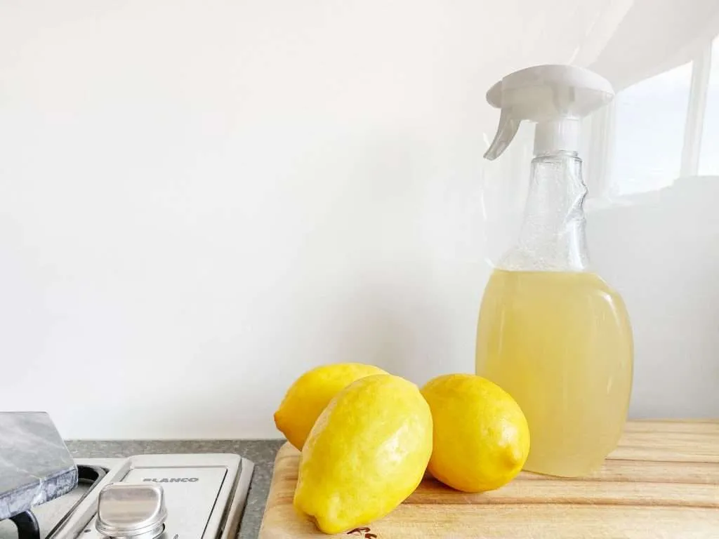 vinegar lemon baking soda 